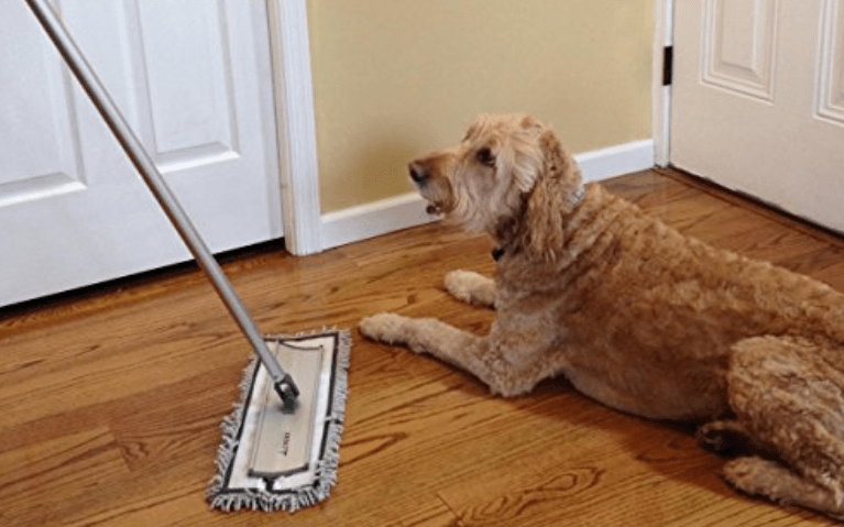 best mop for dog hair