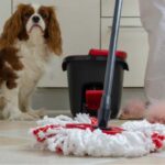 The 7 Best Mop For Dog Urine Reviews for 2022