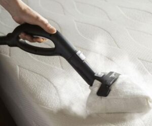 handheld mattress steam cleaner