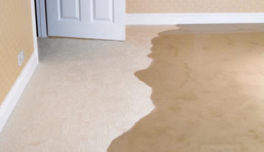 how to make carpet freshener