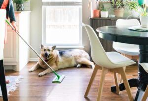 best microfiber mop to pick up dog hair
