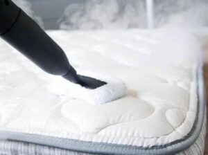 why steam mop is the best for mattress