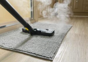 best steam cleaner for carpet and tile