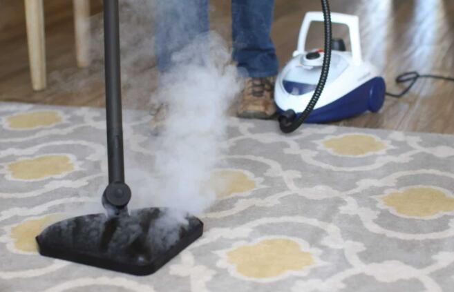 Best Steam Mop for Carpet