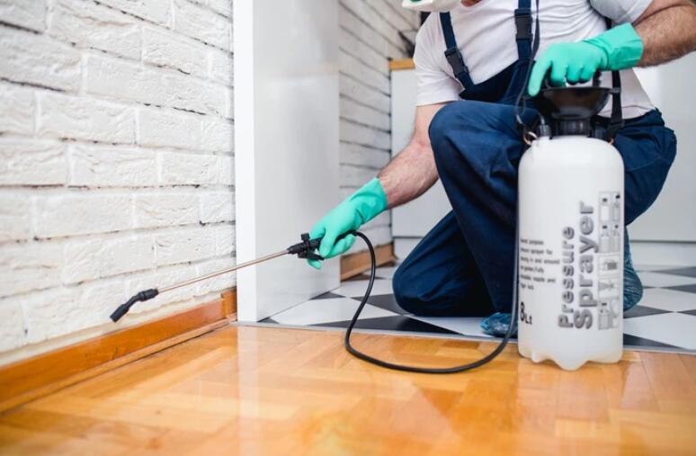 can you use steam mop after Pest Control