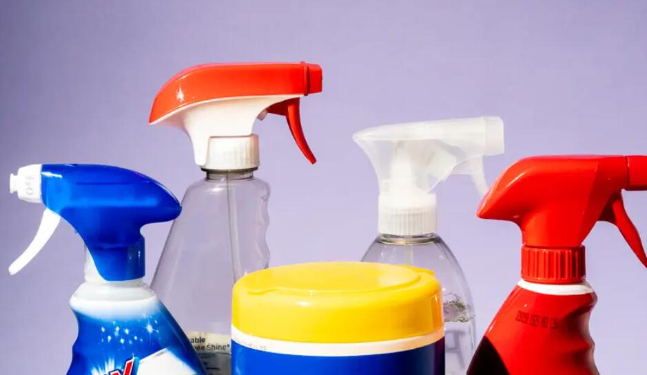 household cleaners to kill fleas