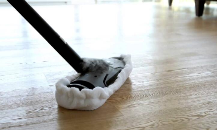 steam mop for bamboo floors