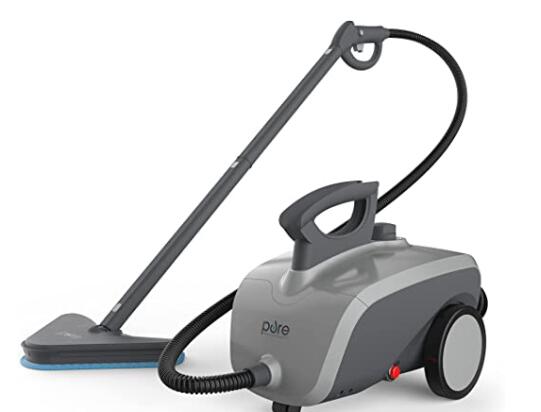 best steam cleaner for couch and carpet