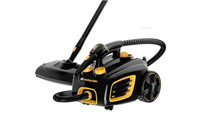 best steam cleaner for car exterior