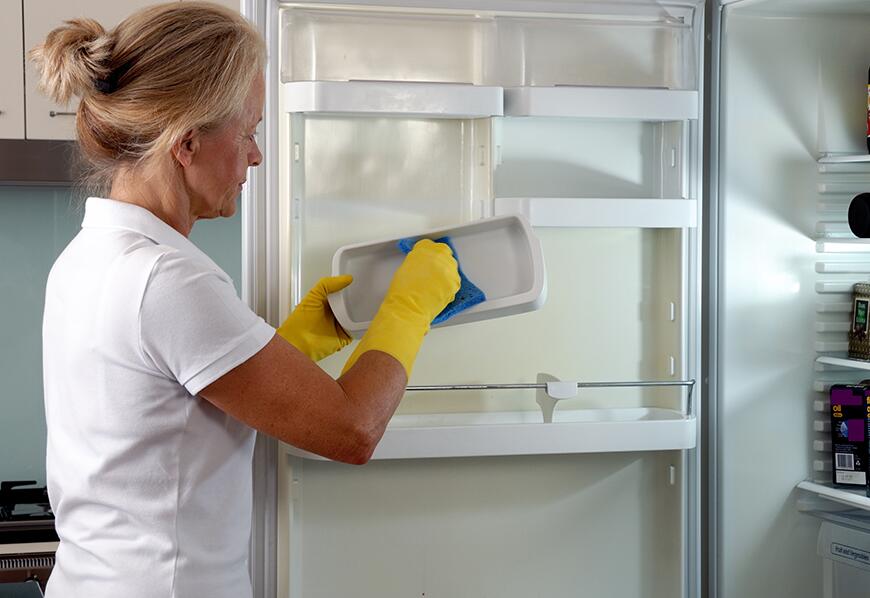 clean the inside of the fridge or freezer