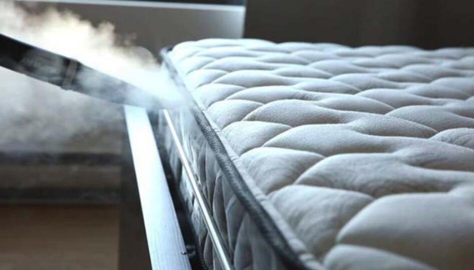 steam mop for mattress