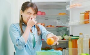 My Fridge Smells Bad Even After Cleaning