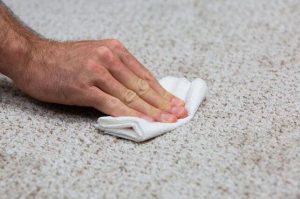 how to clean sperm stains on carpet