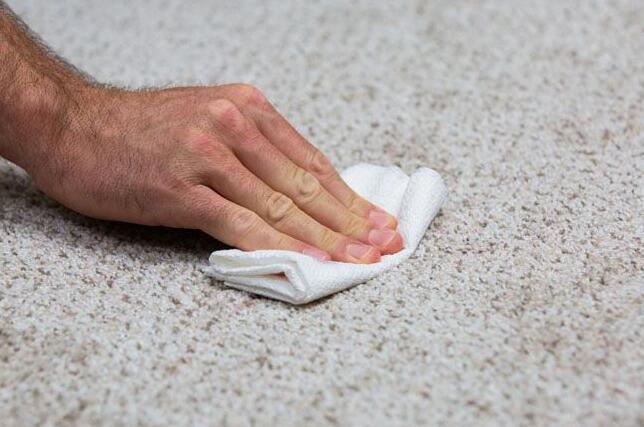 how to clean sperm stains on carpet