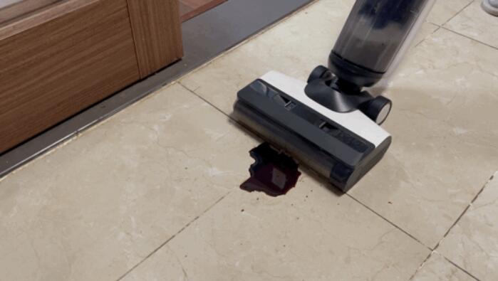 wet and dry vacuum for stains